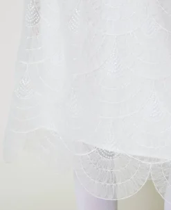 Midirock Aus Organza Mit Stickereien